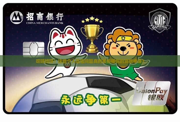哪些个人征信会影响贷款