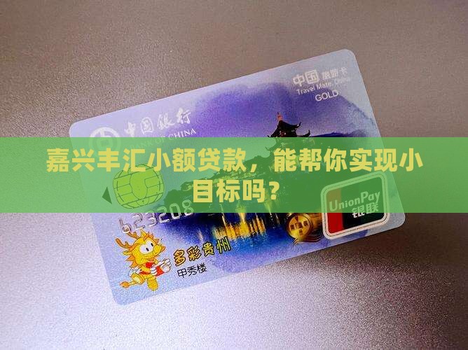 嘉兴丰汇小额贷款