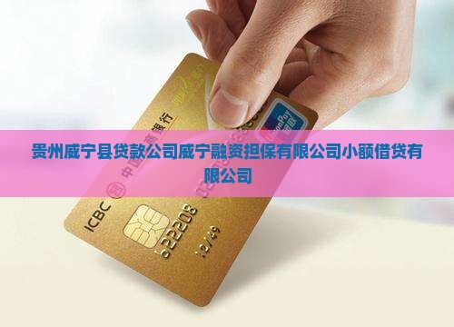 威宁县做贷款的公司