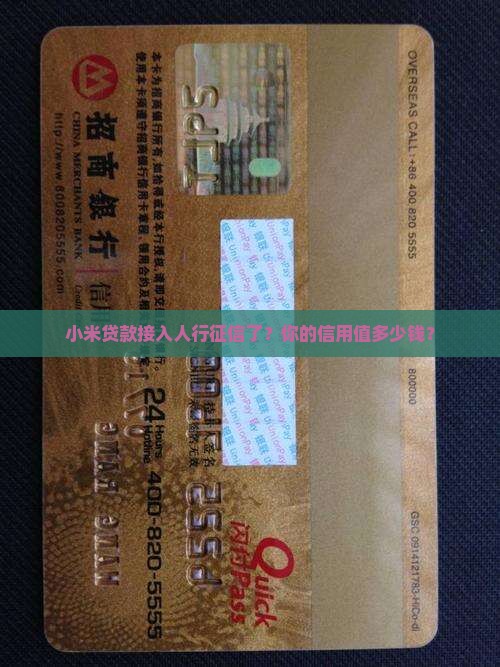 小米贷款接入人行征信