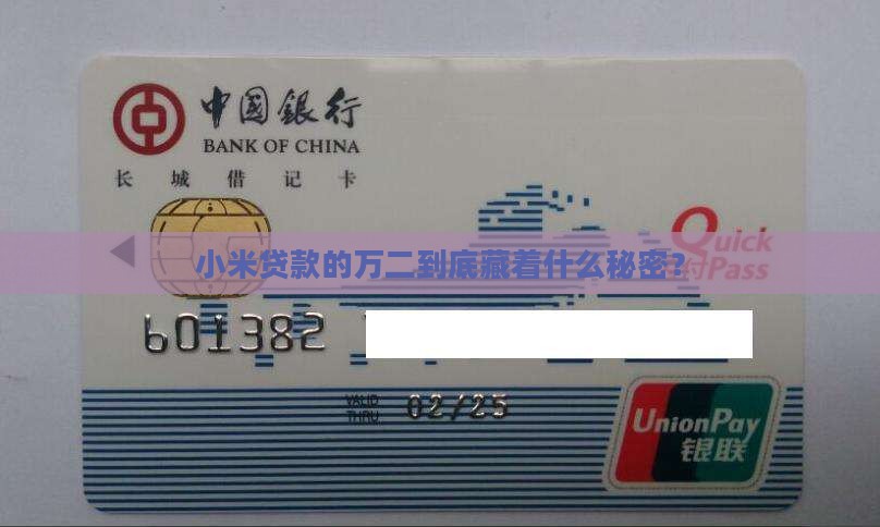 小米贷款万二什么意思