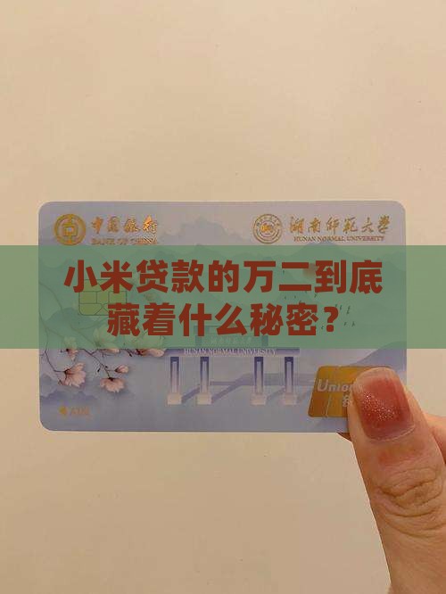 小米贷款万二什么意思