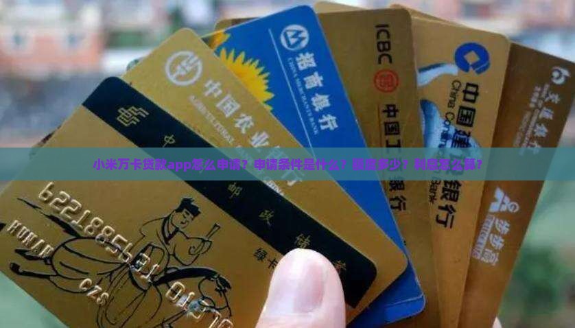 小米万卡贷款app