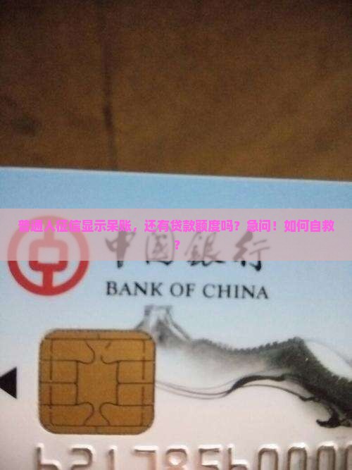 征信呆账贷款有额度吗