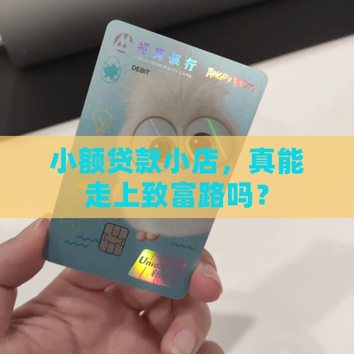 小额贷款店铺致富路