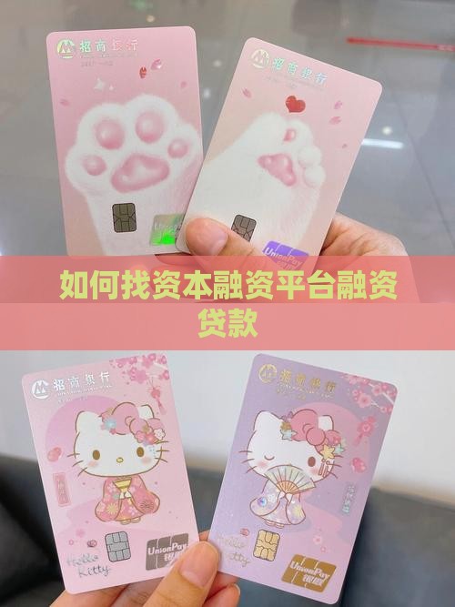 如何找资本融资平台贷款