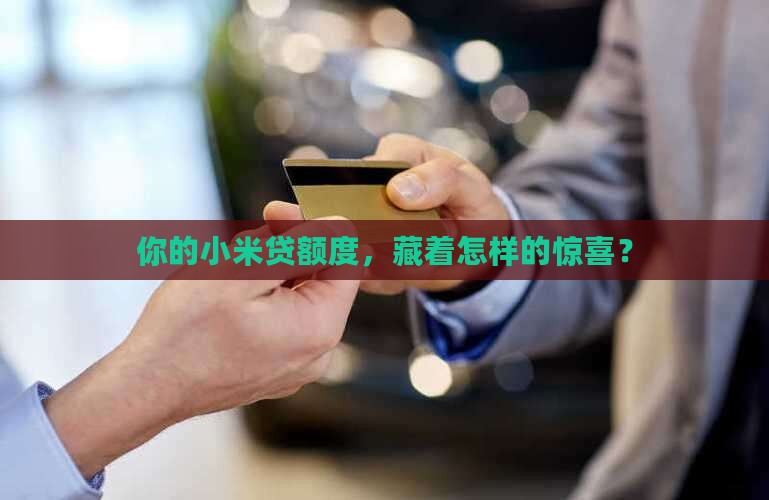 小米贷和小米贷款额度