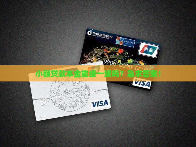 小额贷款本金可以延期吗