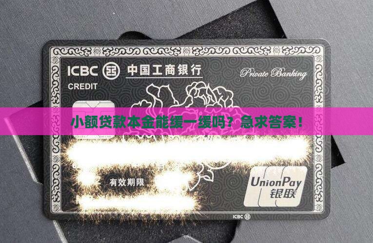 小额贷款本金可以延期吗
