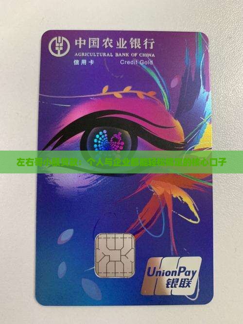 左右哥小额贷款