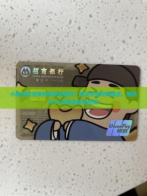 小鹅贷款消费和借款