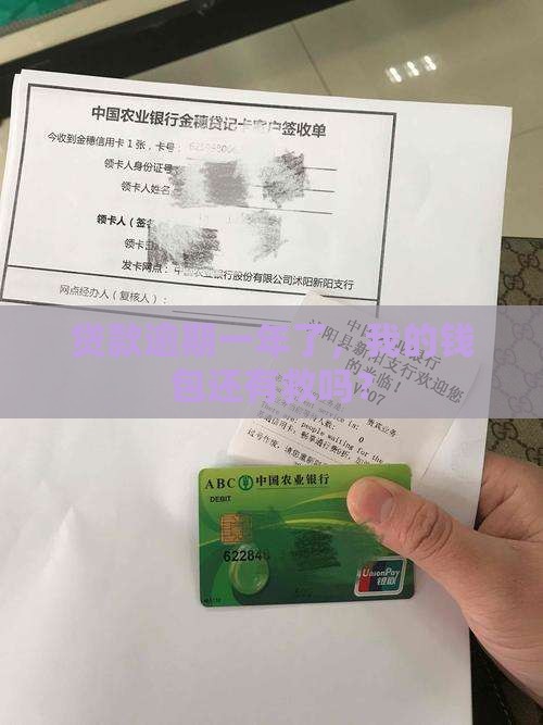 各种贷款逾期一年了