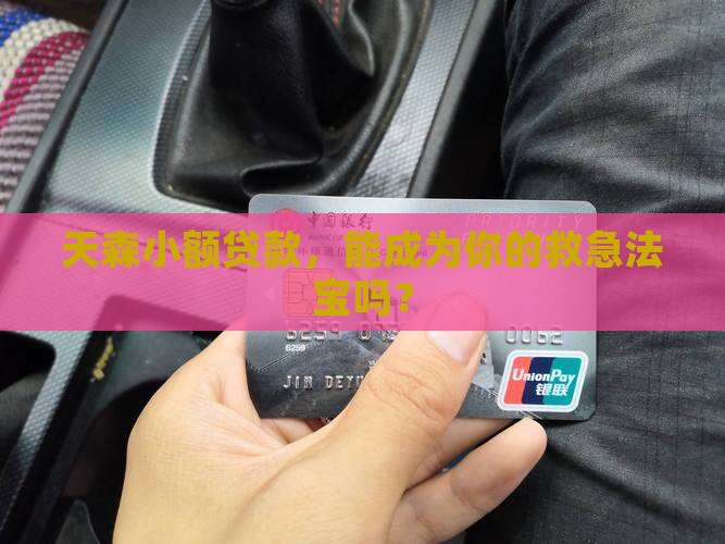 天森小额贷款