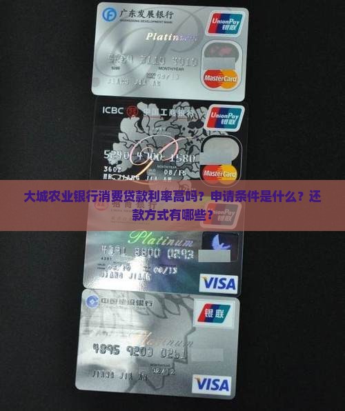 大城农业银行消费贷款