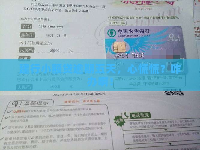 建行小额贷款晚还五天