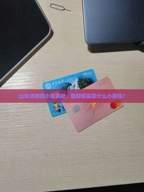 山东济南小米贷款