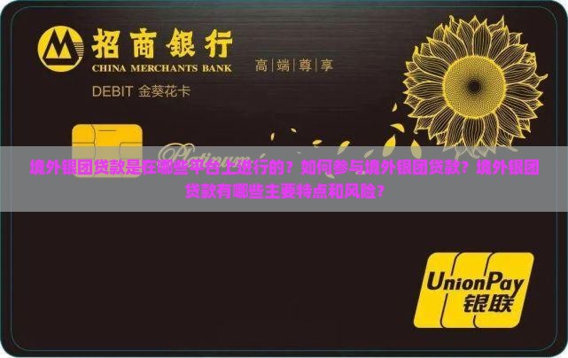 境外银团贷款是什么平台