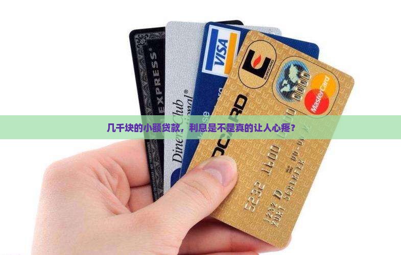 几千元小额贷款利率高吗