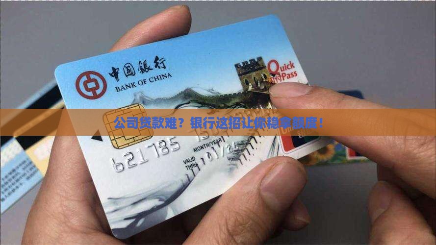 如何拿公司去银行贷款
