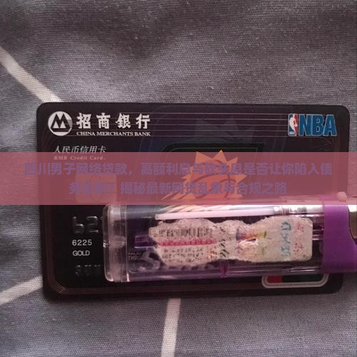 四川男子网络贷款
