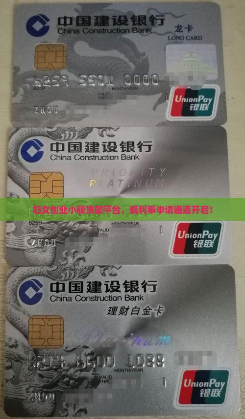 女小额贷款