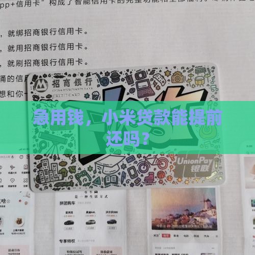 小米贷款提前还可以吗