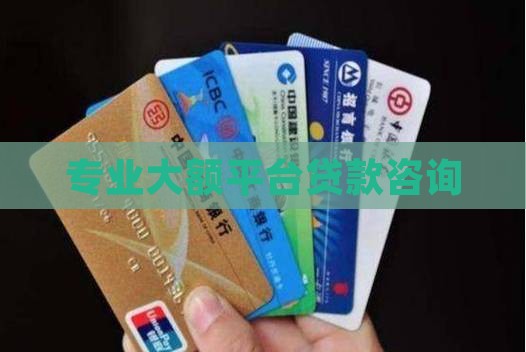 大额平台贷款咨询