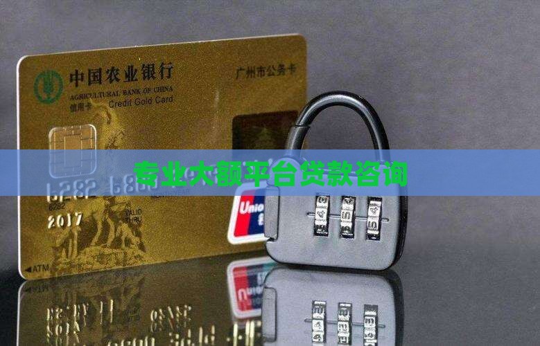 大额平台贷款咨询
