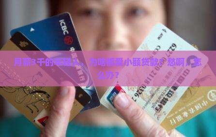 小额贷款都什么人