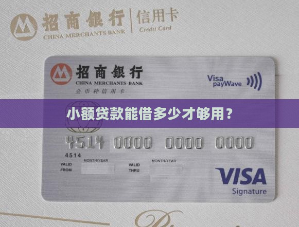 小额贷款的金额是多少万