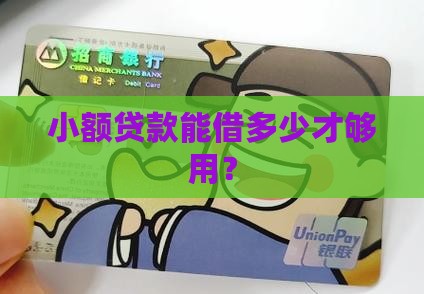 小额贷款的金额是多少万