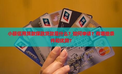 小额信用贷款保政贷款