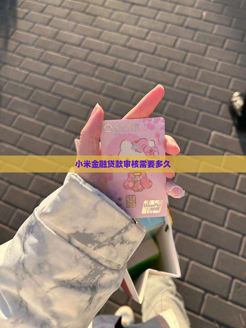 小米金融贷款审核多久