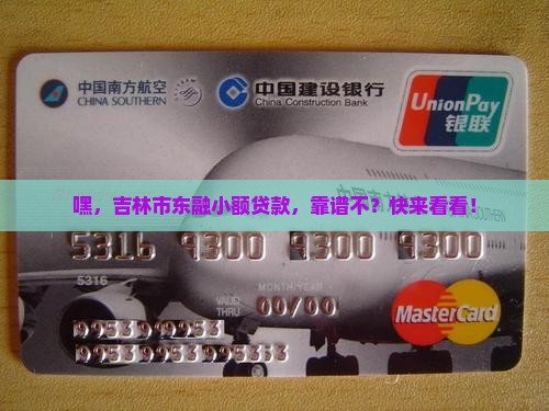 吉林市东融小额贷款