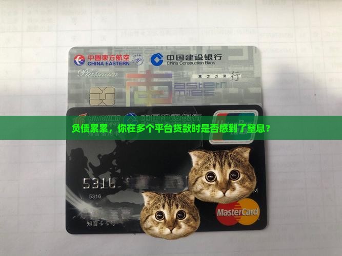 在多个平台贷款
