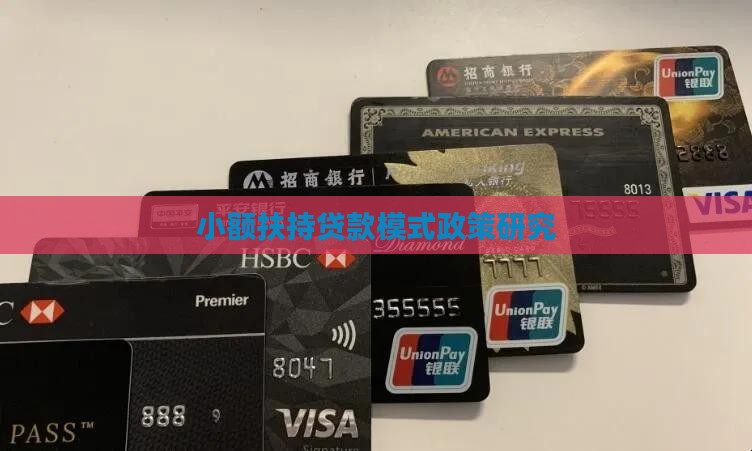 小额贷款扶持模式