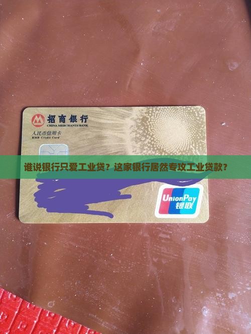 只提供工业贷款的银行