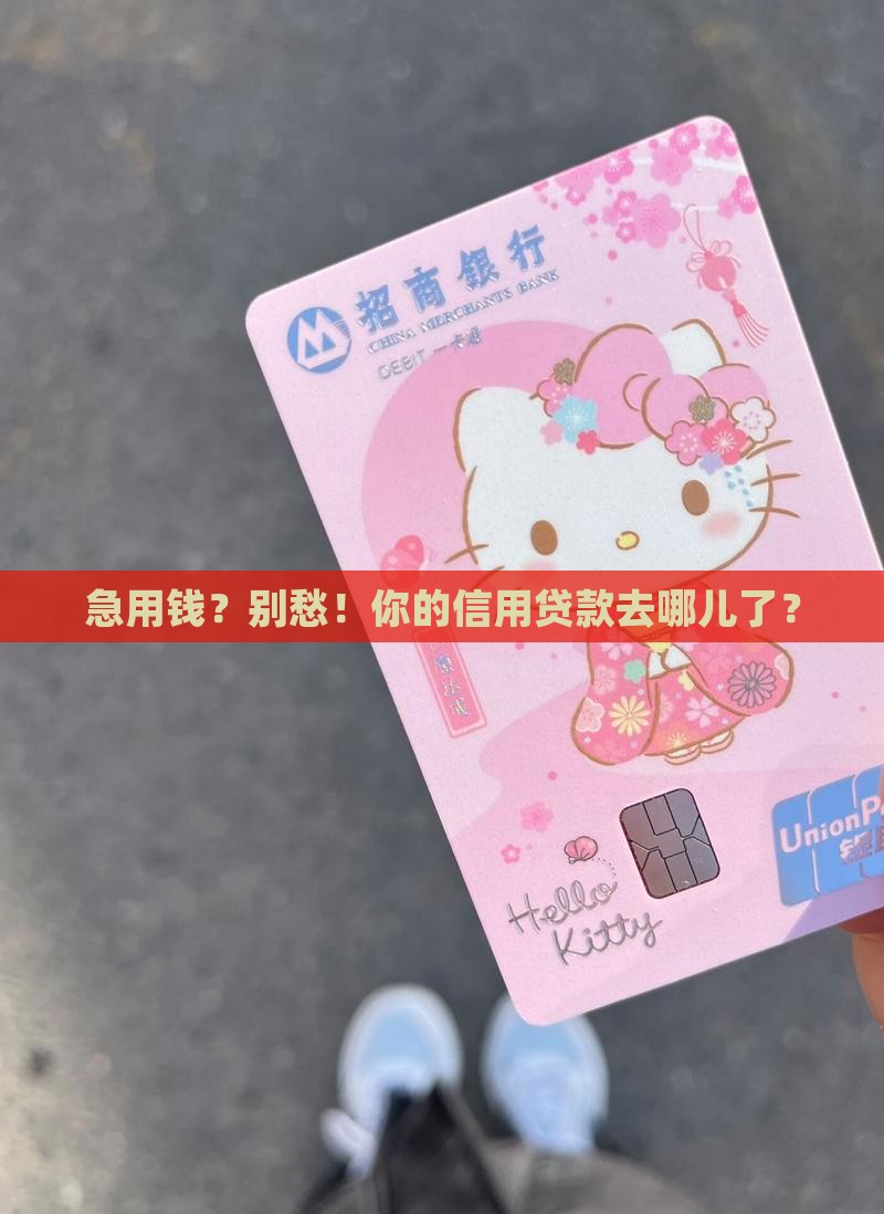 哪里有信用贷款的
