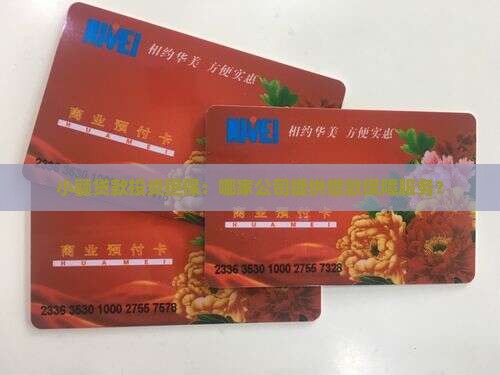 小额贷款投资担保