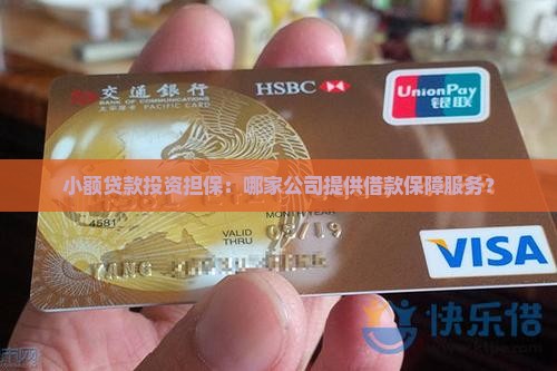 小额贷款投资担保