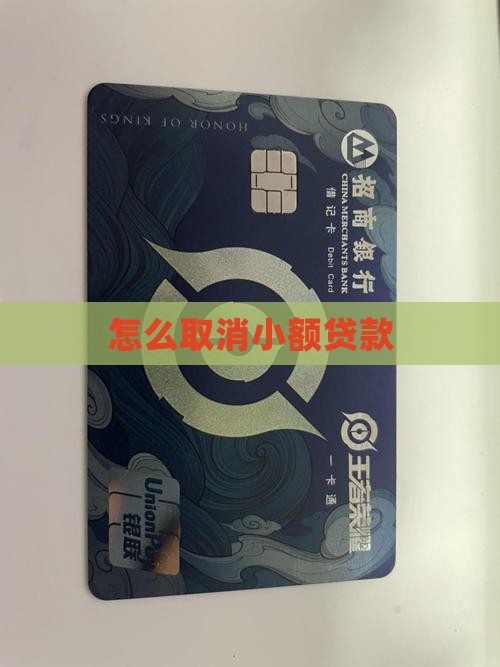 小额贷款怎么退出
