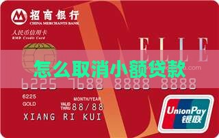 小额贷款怎么退出