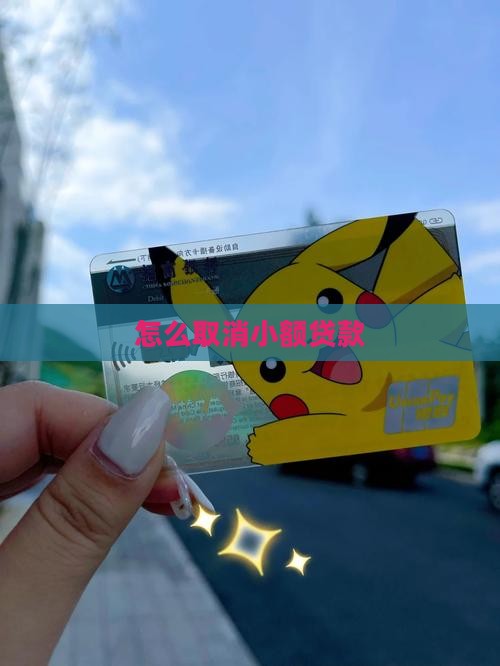 小额贷款怎么退出