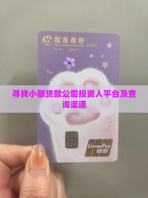 寻找小额贷款