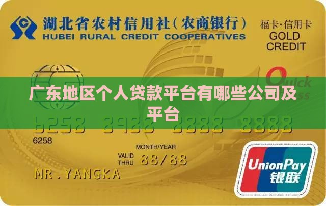 广东地区个人贷款平台有哪些