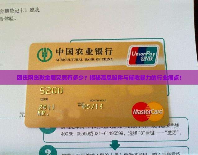团贷网贷款金额