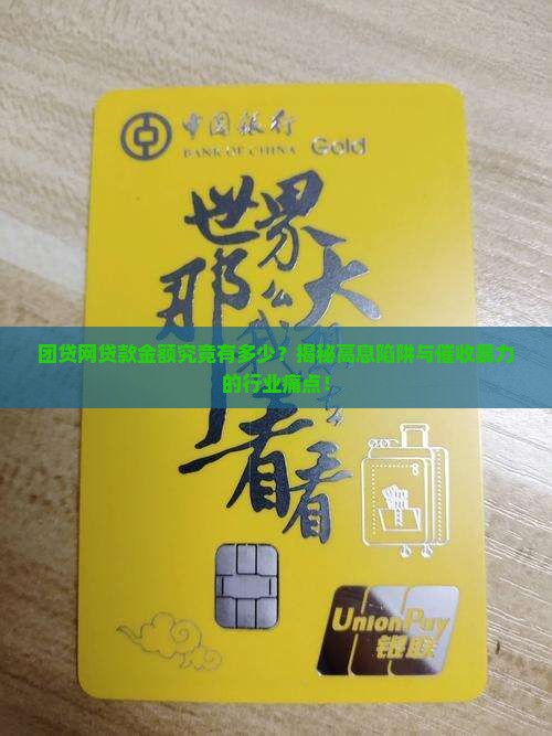 团贷网贷款金额