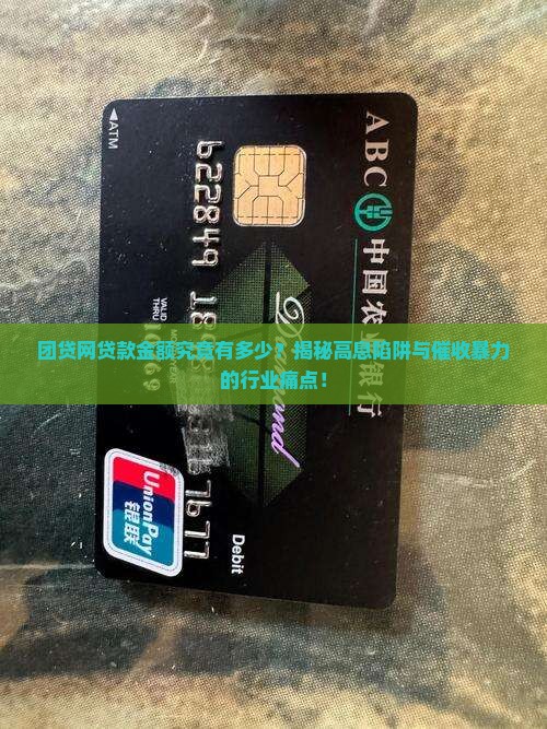 团贷网贷款金额