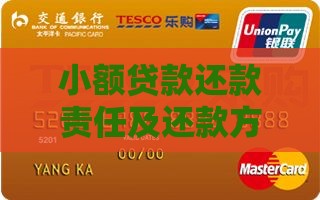 小额贷款还款责任