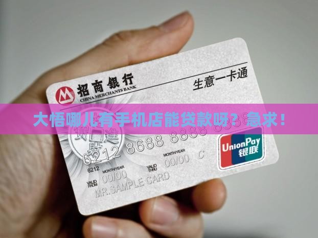 大悟哪里有手机店贷款的